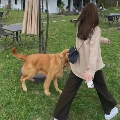 失忆的爱